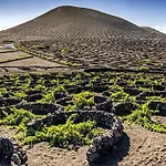 Casa Mic&ele Apartment Playa Blanca (Lanzarote)
