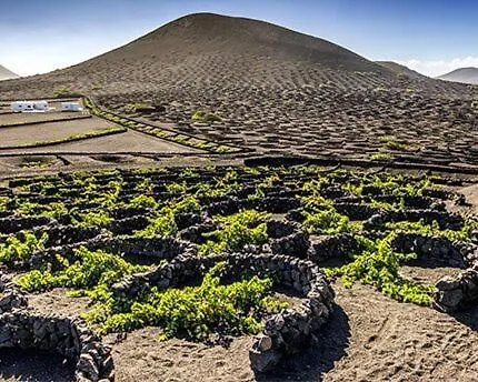 Casa Mic&ele 公寓 普拉亚布兰卡